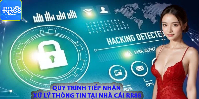 Quy trình tiếp nhận và xử lý thông tin tại nhà cái RR88