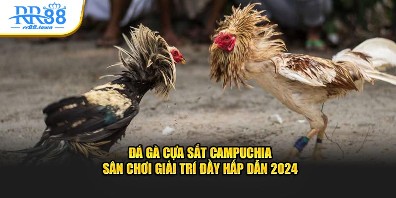 Đá Gà Cựa Sắt Campuchia - Sân Chơi Giải Trí Đầy Hấp Dẫn 2024